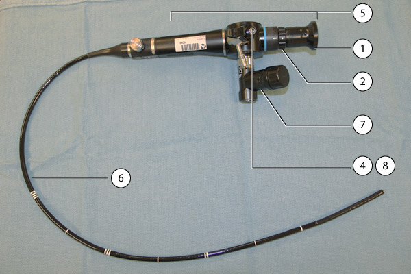 Bronchoscope (fiberoptic)